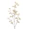 12 Pack: 41" Cream Seed Eucalyptus Stem by Ashland®